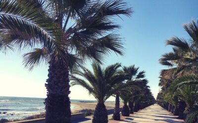 Costa Dorada: la alternativa económica a la Costa Brava
