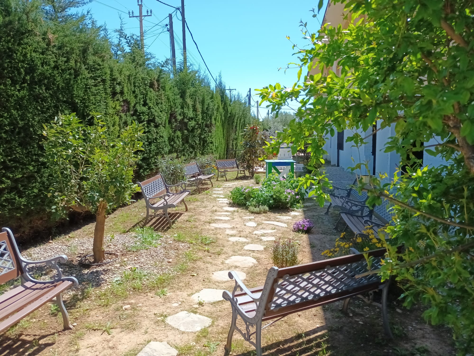Jardin